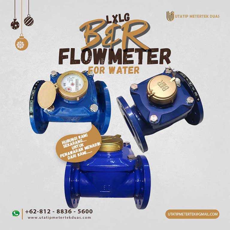 BR Water Meter LXLG