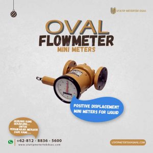 Oval Flow Meter Mini Meters