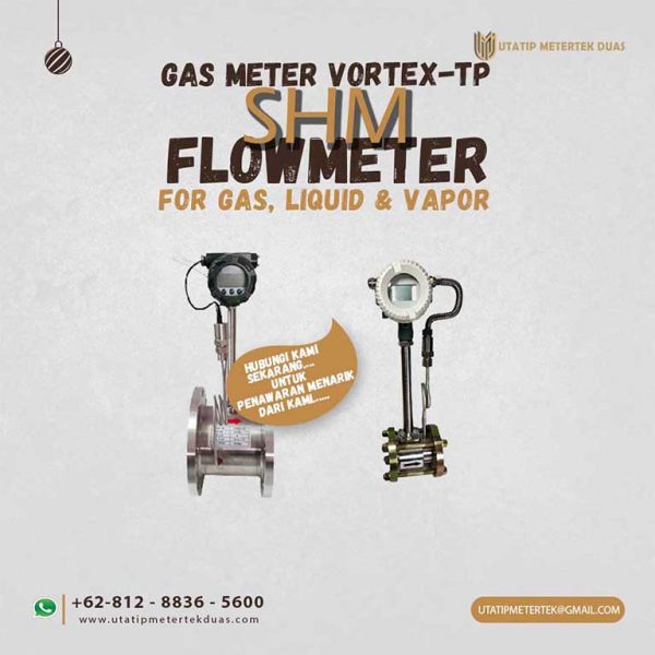 GAS METER VORTEX-TP SHM