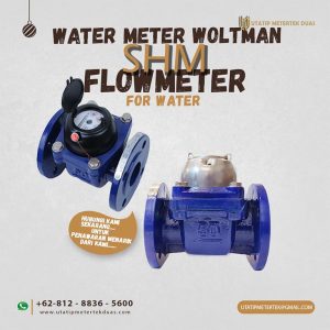 SHM Water Meter Woltman