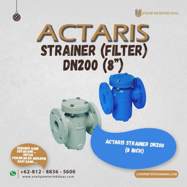 Strainer DN200 Actaris