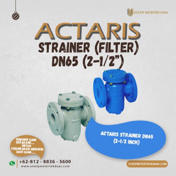 Strainer DN65 Actaris