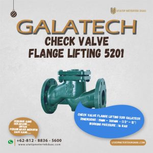 Check Valve Flange Lifting 5201 Galatech