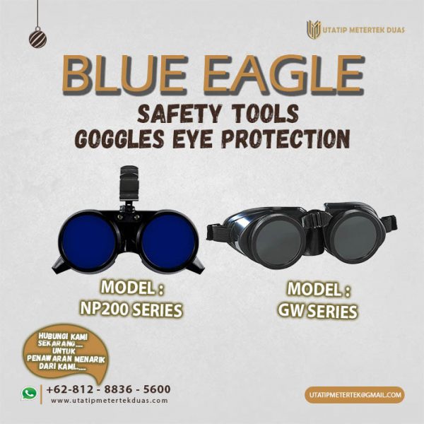 Goggles Eye Protection Blue Eagle 2
