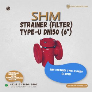 Strainer Type-U DN150 SHM