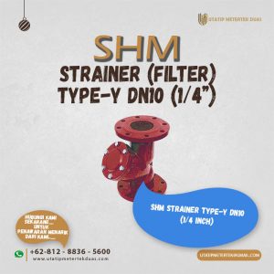 Strainer Type-Y DN10 SHM
