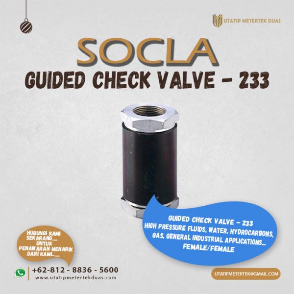 Socla Guided Check Valve-233