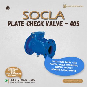 Plate Check Valve 405 Socla