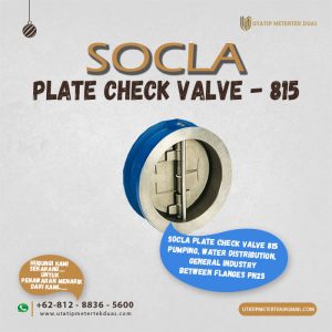 Plate Check Valve 815 Socla