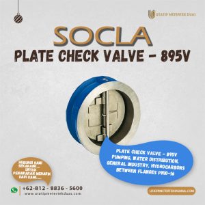 Socla Plate Check Valve-895V