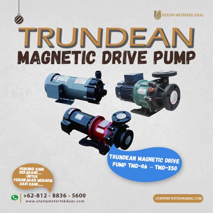 Trundean Magnetic Drive Pump1