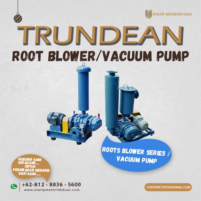 Trundean Roots Blower Pump