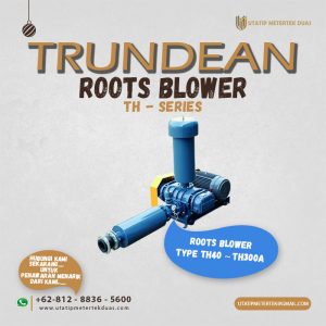 Trundean Roots Blower TH-Series