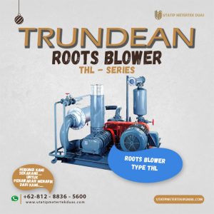 Trundean Roots Blower THL-Series