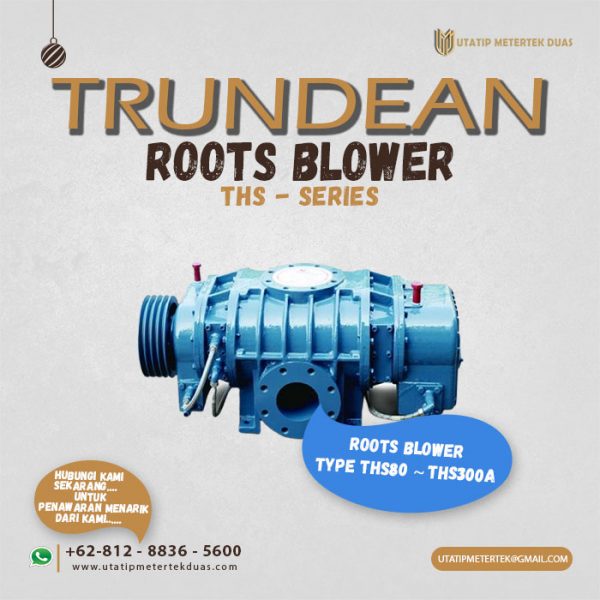 Trundean Roots Blower THS-Series