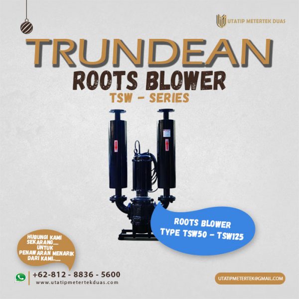 Trundean Roots Blower TSW-Series