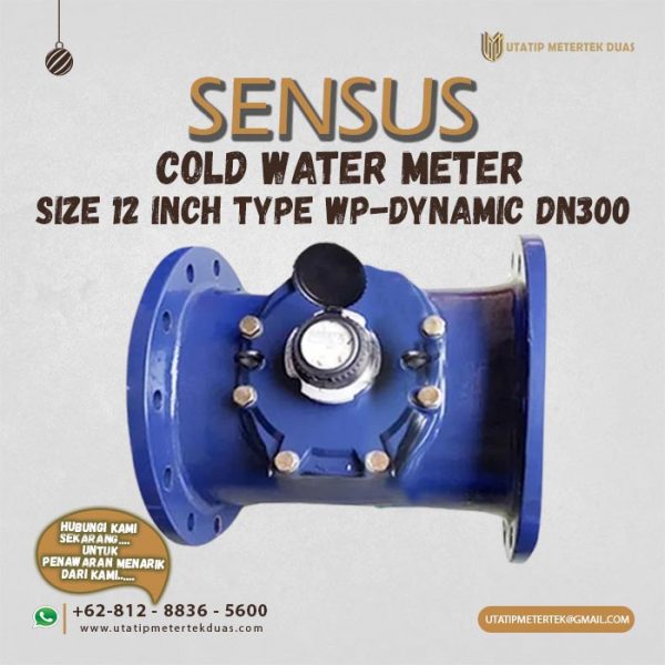 Cold Water Meter Sensus 12 Inch Type WP-Dynamic DN300